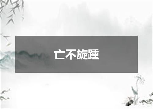 亡不旋踵