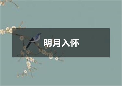 明月入怀