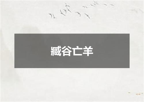 臧谷亡羊