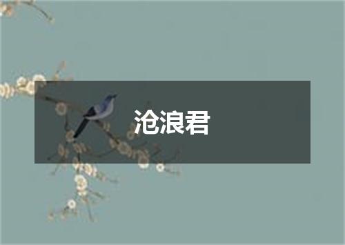 沧浪君