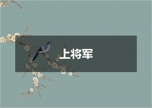 上将军