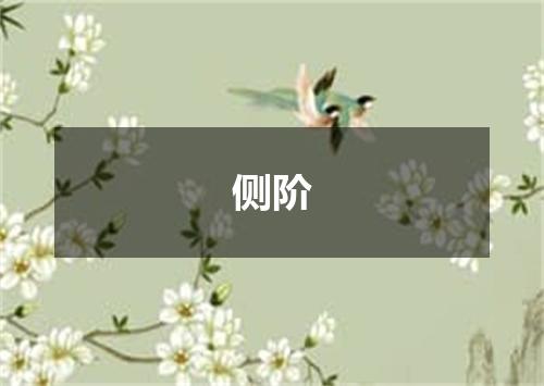 侧阶
