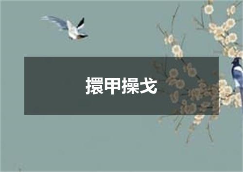 擐甲操戈
