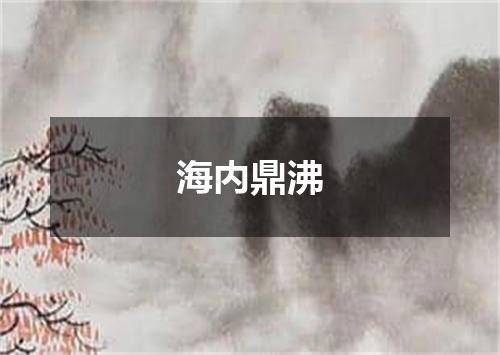 海内鼎沸