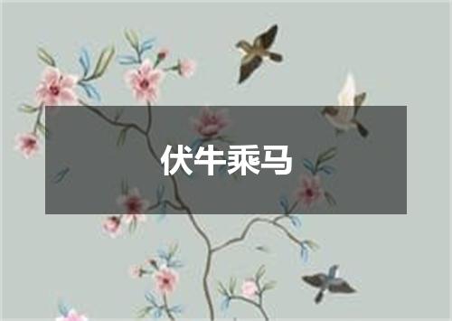 伏牛乘马