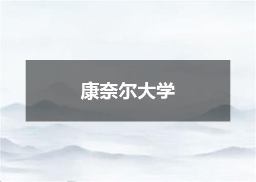 康奈尔大学