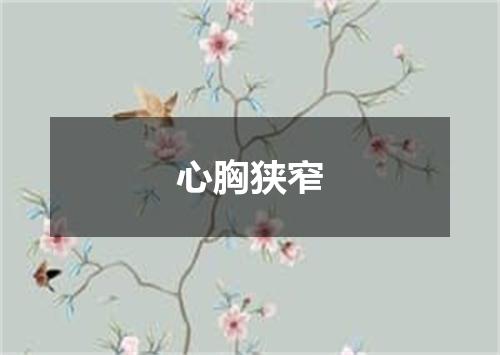 心胸狭窄