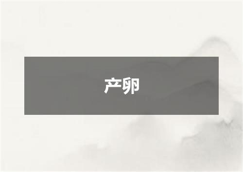 产卵