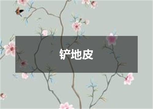铲地皮