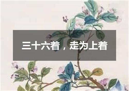 三十六着，走为上着