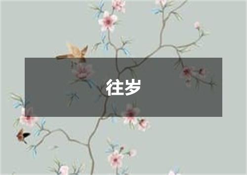 往岁