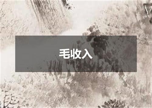 毛收入