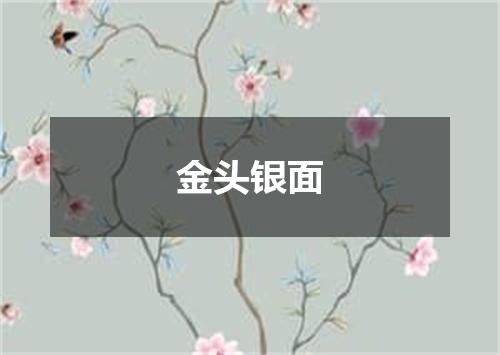 金头银面
