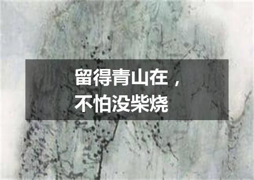 留得青山在，不怕没柴烧