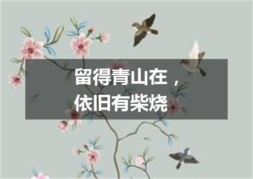 留得青山在，依旧有柴烧
