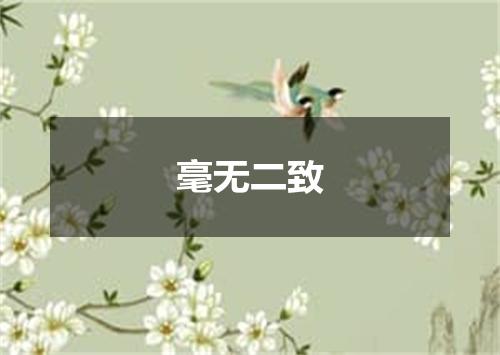 毫无二致