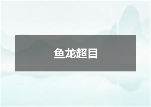 鱼龙超目