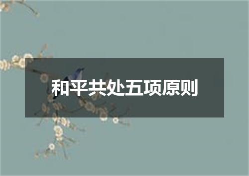 和平共处五项原则