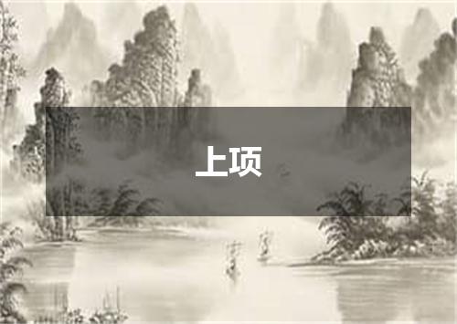 上项