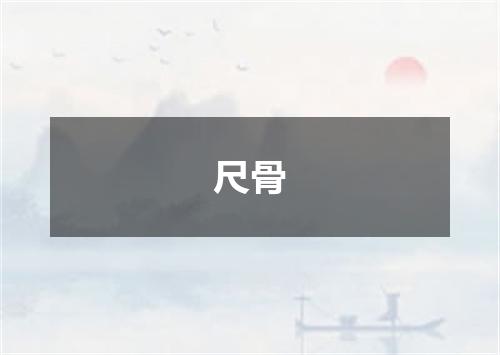 尺骨