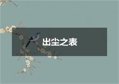 出尘之表