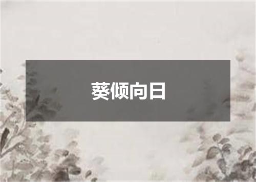 葵倾向日