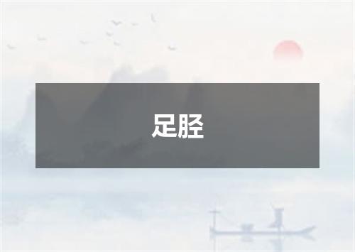 足胫