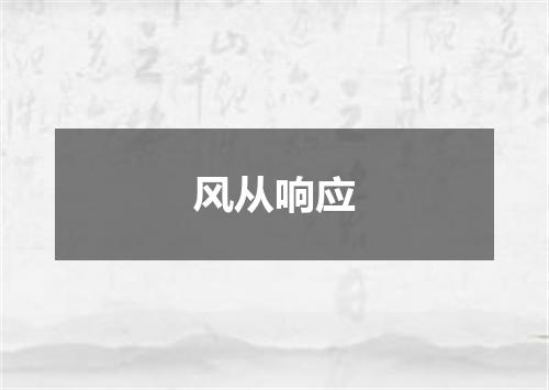 风从响应