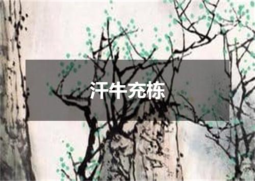 汗牛充栋