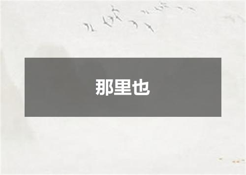 那里也