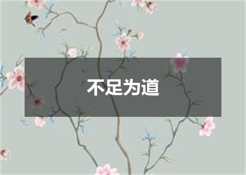 不足为道