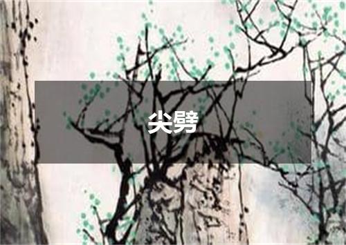 尖劈