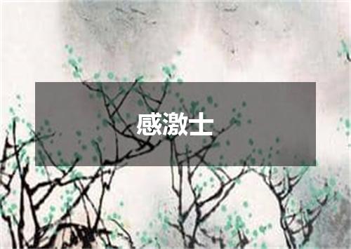 感激士