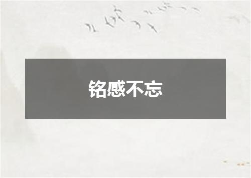 铭感不忘