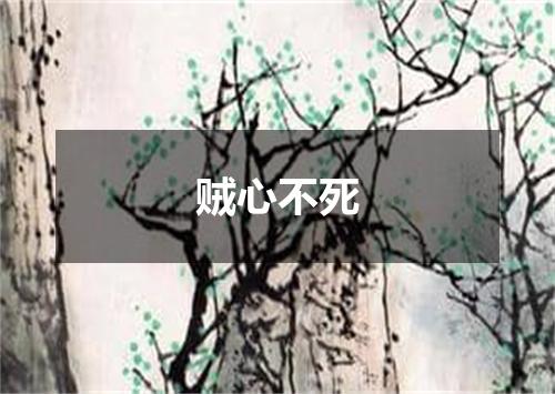 贼心不死