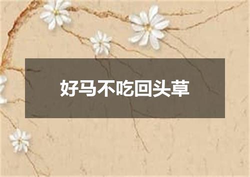 好马不吃回头草
