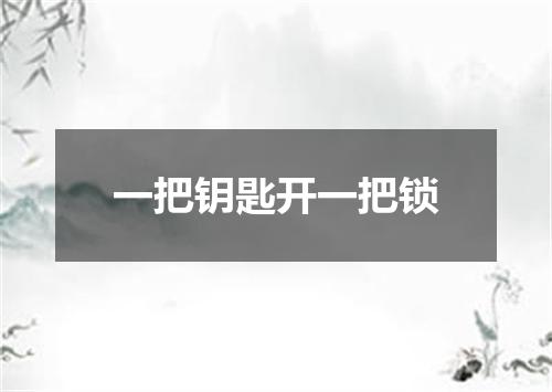 一把钥匙开一把锁