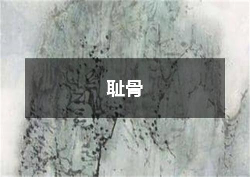 耻骨
