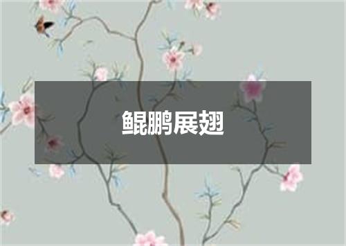 鲲鹏展翅