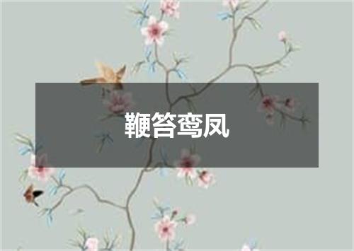 鞭笞鸾凤