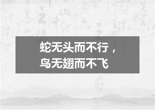 蛇无头而不行，鸟无翅而不飞