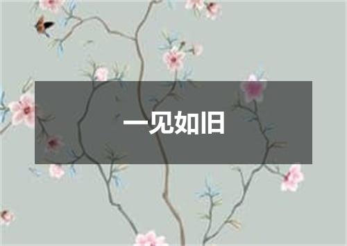 一见如旧