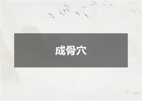 成骨穴