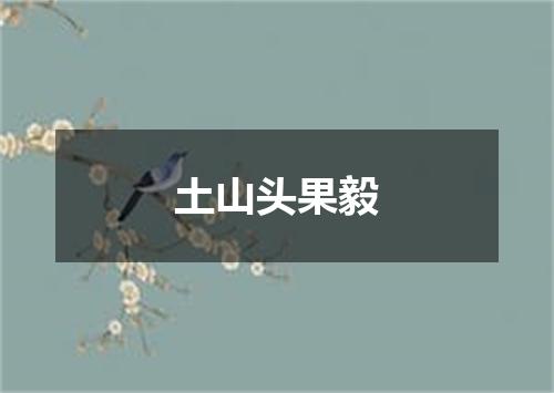 土山头果毅