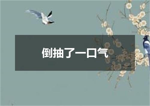 倒抽了一口气