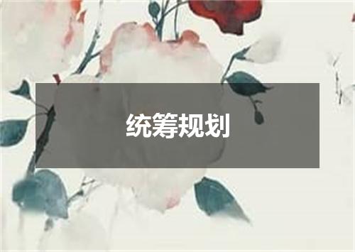 统筹规划