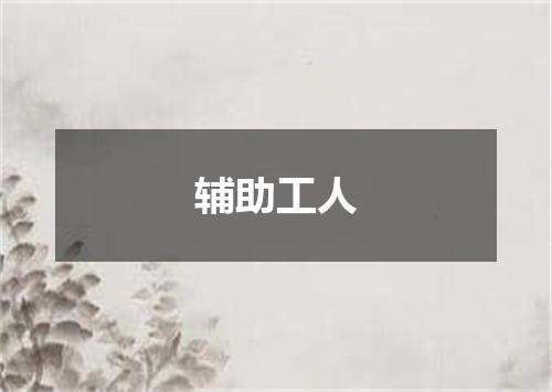 辅助工人