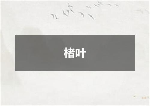 楮叶
