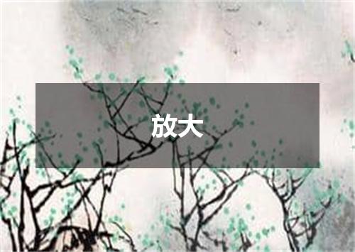 放大