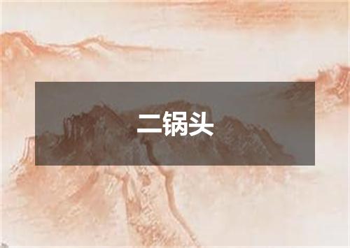 二锅头